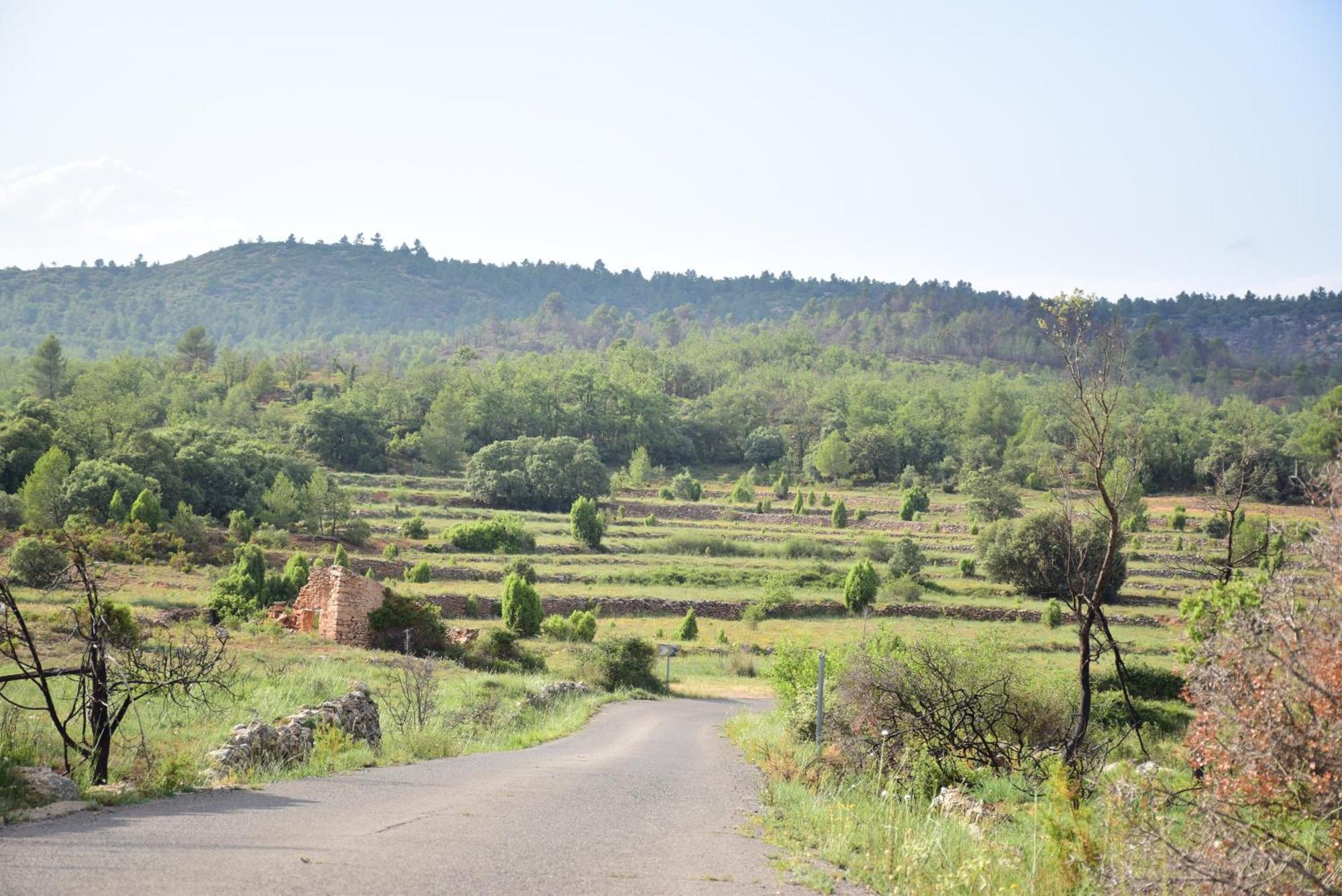 Oasis Rural Villa Los Pastores Exteriör bild